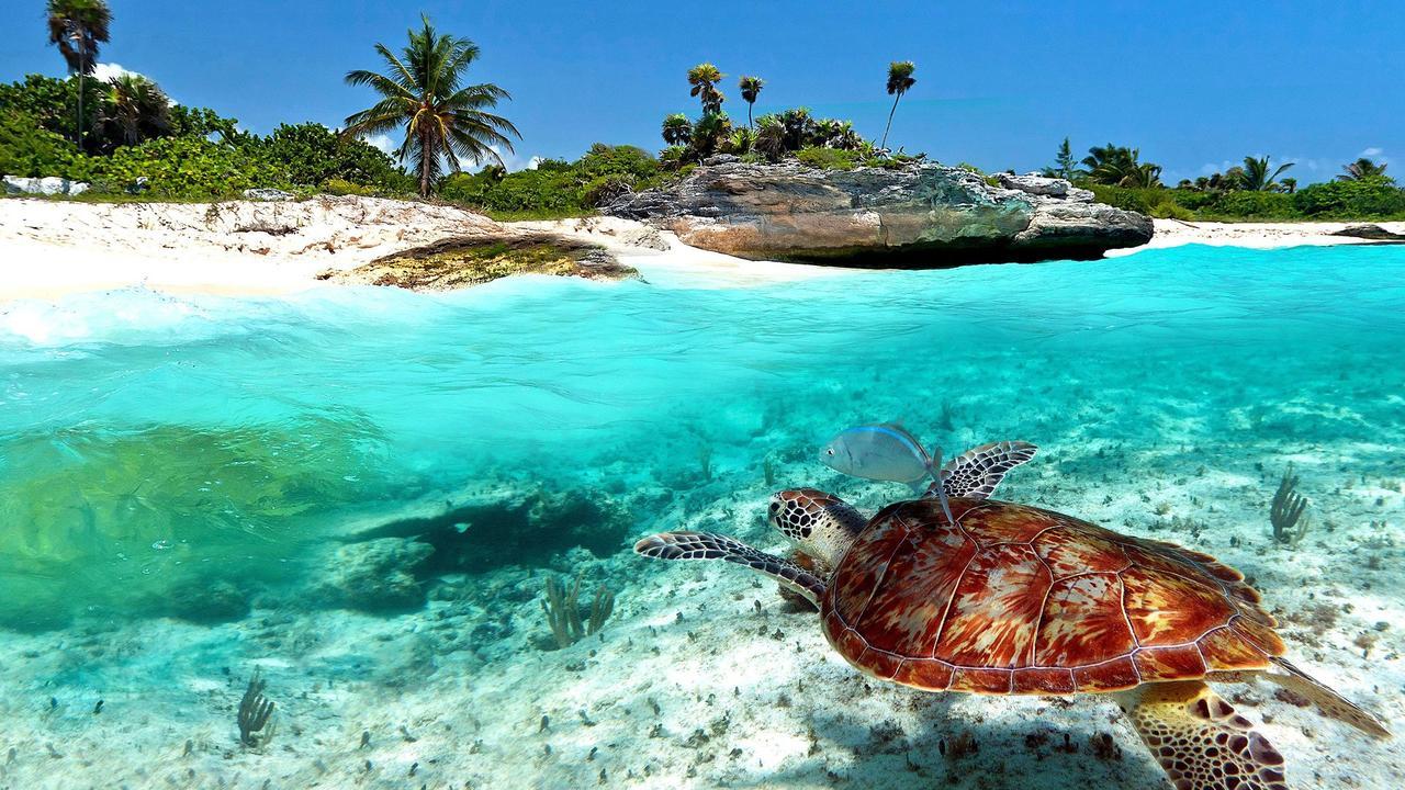 Naay Bej Hotel Tulum Pueblo Buitenkant foto